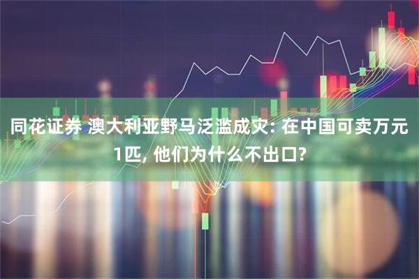 同花证券 澳大利亚野马泛滥成灾: 在中国可卖万元1匹, 他们为什么不出口?