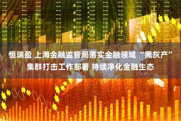 恒瑞盈 上海金融监管局落实金融领域 “黑灰产”集群打击工作部署 持续净化金融生态